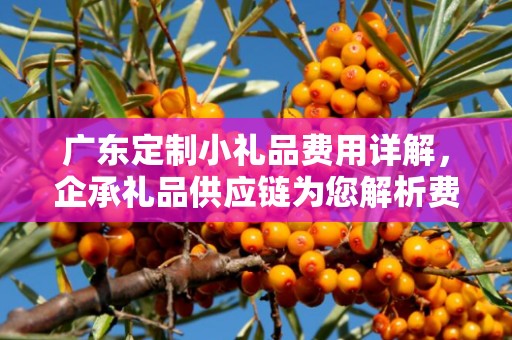 广东定制小礼品费用详解，企承礼品供应链为您解析费用全貌