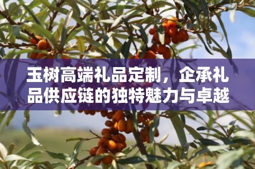 玉树高端礼品定制，企承礼品供应链的独特魅力与卓越服务