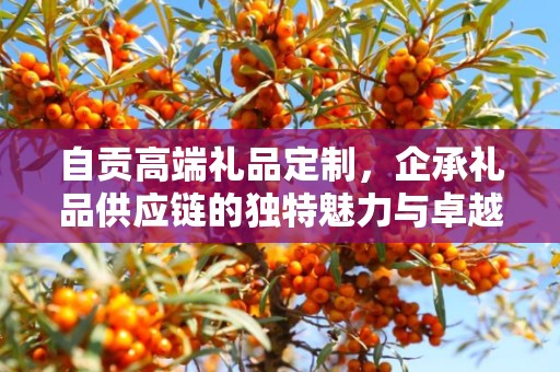 自贡高端礼品定制，企承礼品供应链的独特魅力与卓越服务