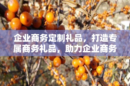 企业商务定制礼品，打造专属商务礼品，助力企业商务发展
