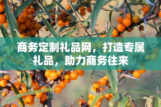 商务定制礼品网，打造专属礼品，助力商务往来