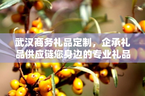 武汉商务礼品定制，企承礼品供应链您身边的专业礼品定制公司