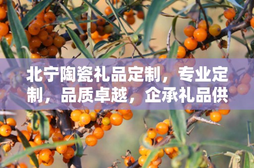 北宁陶瓷礼品定制，专业定制，品质卓越，企承礼品供应链助力商务礼品新风尚